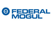 Federal Mogul logo image